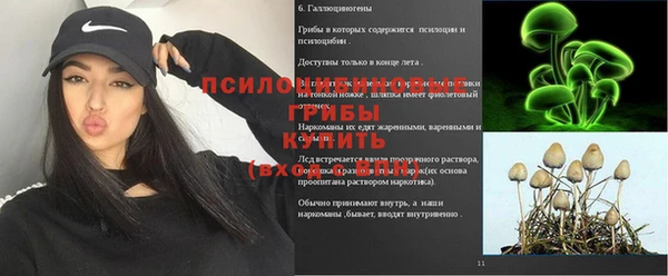 винт Алексеевка