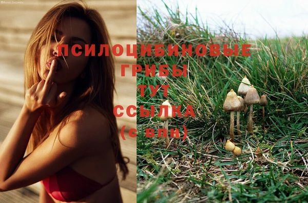 винт Алексеевка