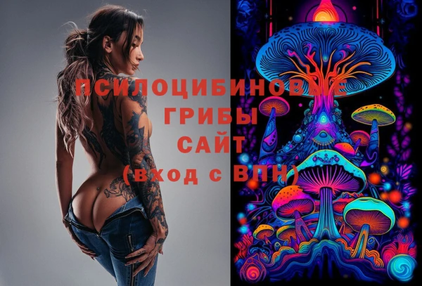 стафф Алзамай